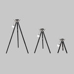 Disco Series Starter