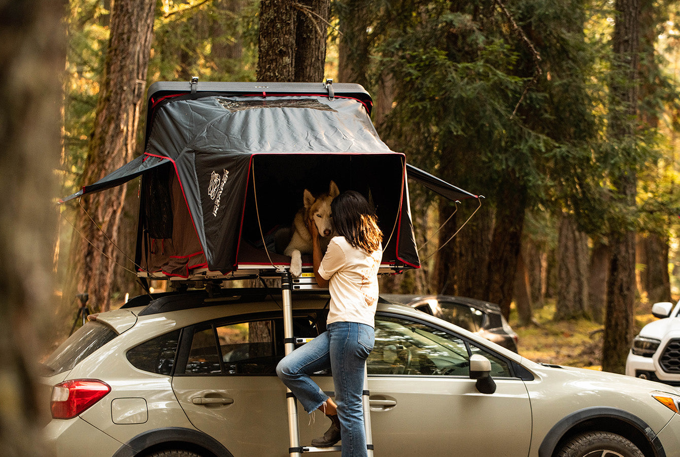 How to Get Dogs Into Your Roof Top Tent