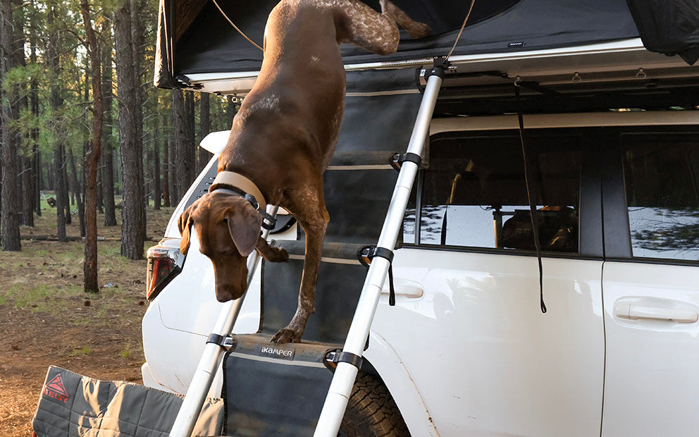 dog roof top tent ladder HC Steps