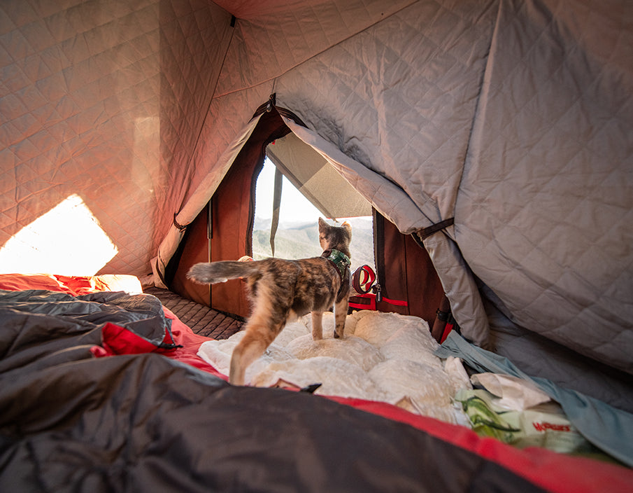 Tent camping in 30 clearance degree weather